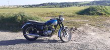 tiger90 1.jpg