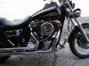 harley 3.jpg