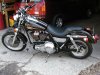 harley 1.jpg