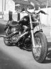 new front wheel 012.jpg