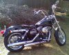 Harley Street Bob 2.jpg