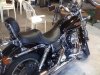 1998 Harley-Dyna picture.JPG