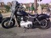 Full view.jpg