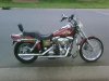2004 wideglide#1.jpg