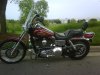 2004 wideglide#2.jpg