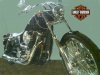bike2a.jpg