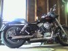 Snapshot_20090604.jpg