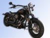 Cross Bones with Wide radius, Roland Sands Breather and Timing Cover.JPG