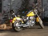 Jimmy's FXDC 045.jpg