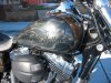wide glide 012.jpg
