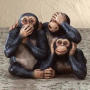 NO EVIL monkeys.jpg