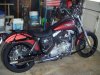 2009_0402SKULLY0042.jpg