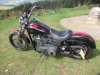 DSCF1104.JPG